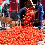 10 тона лоши домати от Гърция спрени от продажба